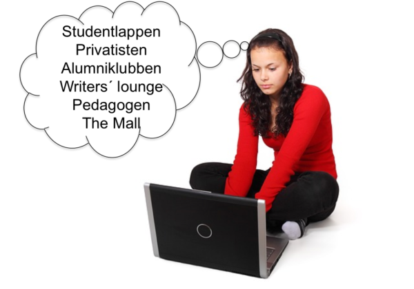 Læringsmiljø for nettskoler