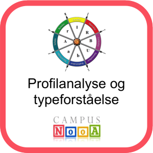 Profilanalyse og typeforståelse