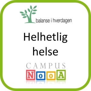 Elektroniske utmerkelser - Helhetlig helse