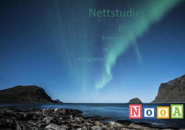 Nettstudier gir frihet og muligheter