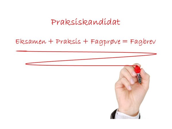 Praktiskandidat ved NooA