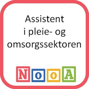 Assistent i pleie- og omsorgssektoren