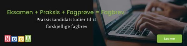 Praksiskandidatstudier